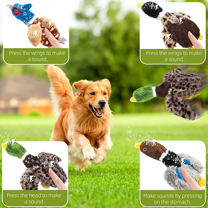 Calibonbon Dog Squeaky Toy Set – 4-Pack Durable Plush Duck, Pheasant, Goose for Small and Medium Dogs – Soft Bird Chew Toys with Crinkle Sound for Puppy Play, Interactive Training