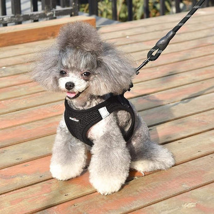 matilor Dog Harness Step-in Breathable Puppy Cat Dog Vest Harnesses for Small Medium Dogs