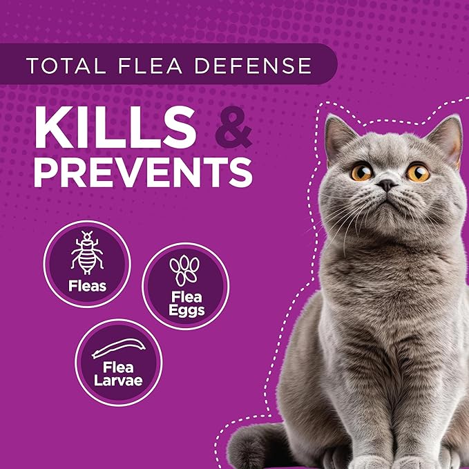 TevraPet Actispot II Flea Treatment for Small and Medium Cats 5-9 lbs | 6 Doses | Powerful Prevention and Control, Clear