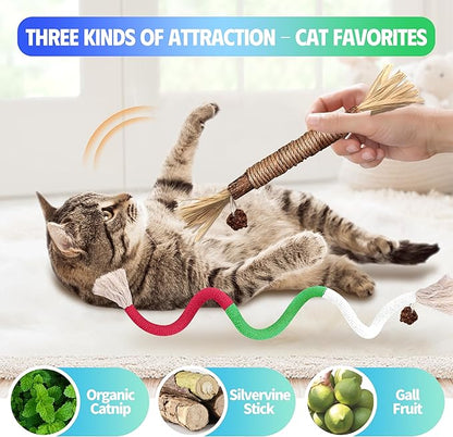 GBSYU Cat Toys Chew Rope & Silvervine Sticks for Bored Indoor Adult Cats, 4Pcs Interactive Catnip Toys for Cats with Refillable Natural Catnip Bag for Teeth Cleaning