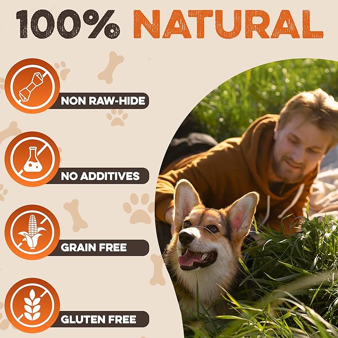 Premium Beef Cheek Rolls for Dogs 10-12" - (5-Pack) Long Lasting, Safe & Natural Rawhide Alternative Chews, Ideal for Large Dogs & Aggressive Chewers, Supports Dental Health & Digestion
