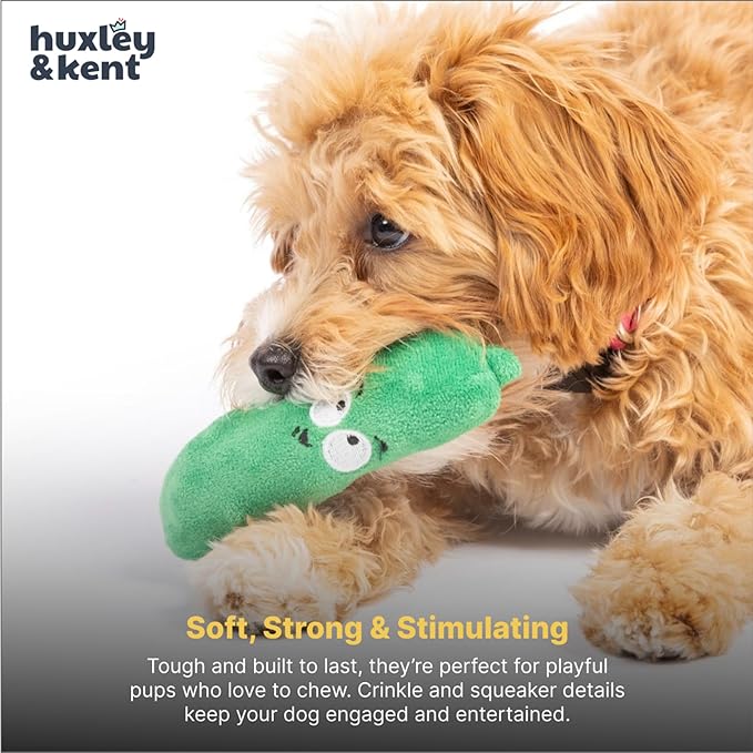 Huxley & Kent Funny Dog Toy w/Squeaker – Power Plush Squeaky Dog Toys for Small Dogs – Durable Small Stuffed Animal for Indoor Play & Fetch - Tiny Tuff Dell Pickle