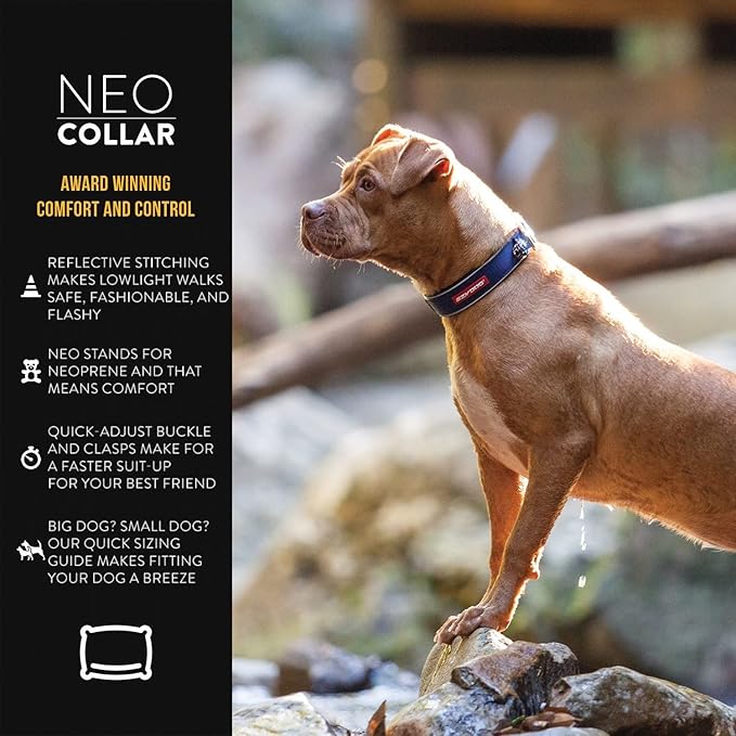 EzyDog Neo Dog Collar - Waterproof & Reflective Dog Collar with Soft Padded Neoprene for Comfort & Durable Nylon – Features Quick Release Buckle and Built-in ID Clip (Large, Blue)