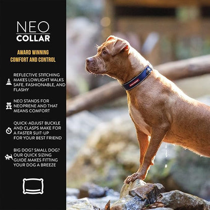 EzyDog Neo Dog Collar - Waterproof & Reflective Dog Collar with Soft Padded Neoprene for Comfort & Durable Nylon – Features Quick Release Buckle and Built-in ID Clip (Small, Blue)