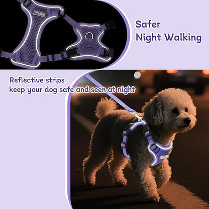 Small Dog Harness and Leash Set, Reflective Soft Breathable Mesh Vest, 3 Buckles, Adjustable Neck and Chest,Step in Dog Harness for Walking, Running, Training, Purple, S