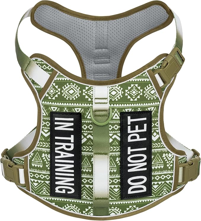 Light Dog Harness for Small Sized Dog Breeds, No Pull Pet Harness with 2 Leash Clips, Adjustable Soft Padded Dog Vest, Reflective Pet Oxford Vest, Puggle, Terriers, Beagle, Green Ethnic, Small