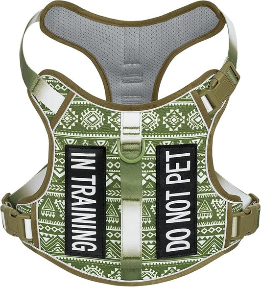 Light Dog Harness for Small Sized Dog Breeds, No Pull Pet Harness with 2 Leash Clips, Adjustable Soft Padded Dog Vest, Reflective Pet Oxford Vest, Puggle, Terriers, Beagle, Green Ethnic, Small