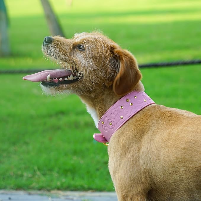 Blueberry Pet Premium Embossed Pink Glam Silver-Powered Freshness Microfiber Leather Dog Collar with Gold Studs