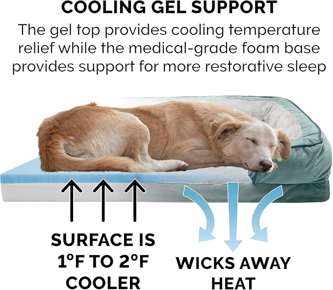 Furhaven Cooling Gel Dog Bed for Large/Medium Dogs w/ Removable Bolsters & Washable Cover, For Dogs Up to 55 lbs - Plush & Velvet Waves Perfect Comfort Sofa - Celadon Green, Large