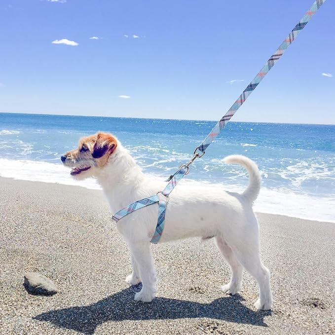 BINGPET Dog Harness Collar Leash Set,Adjustable No Pull Escape Proof Small Dog Harness,Classic Plaid Puppy Harness and Leash Set for Small Medium Large Dogs Training Easy Walk Running(Blue,S)