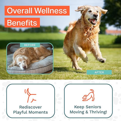 PawPa Regen, 120 Chews Veterinarian Recommended Regenerative Stem Cell Supplement for Senior Dogs, Supports Mobility, Appearance, Alertness, Hip & Joint, Delicious Beef Flavor Chews