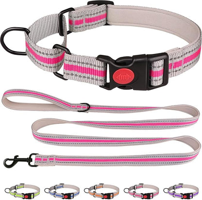 Martingale Collar for Dogs,Soft Neoprene Padded Reflective Martingale Collar and Leash Set Safety Buckle Nylon Martingale Collar for Small Dogs(Hotpink&S)