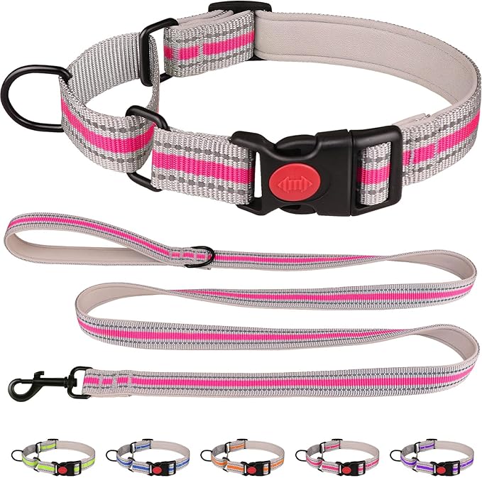 Martingale Collar for Dogs,Soft Neoprene Padded Reflective Martingale Collar and Leash Set Safety Buckle Nylon Martingale Dog Collars for Large Dogs(Hotpink&L)