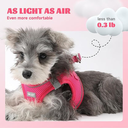Bolux Dog Harness Small Sized and Leash Set, Step in Soft Light Puppy Vest, Breathable Mesh Pet Harness, Reflective for Safe Easy Walking.
