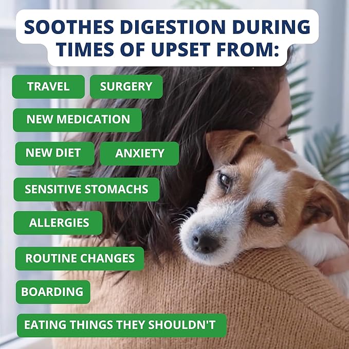 Under the Weather Bland Diet for Dogs | Easy to Digest for Sick Dogs | Always Be Ready | Contains Electrolytes - Natural Freeze Dried 100% Human Grade Meats| 1 Pack- Rice, Hamburger & Bone Broth - 6oz