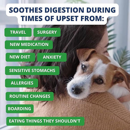 Under The Weather Easy to Digest Bland Diet for Sick Dogs | Contains Electrolytes | Gluten Free, All Natural, Freeze Dried 100% Human Grade Meats | 6 Pack - Hamburger, Rice & Sweet Potato