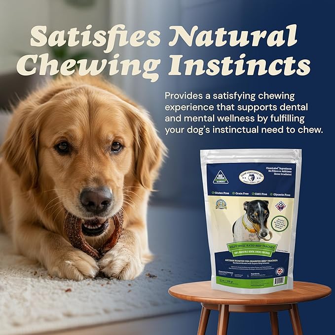 CLEAR CONSCIENCE PET Kelpy™ Ringz™ 1-Inch Beef Trachea Rings with Organic Kelp for Small Dogs, Natural Dental Chew Treats, Rawhide-Free, Highly Digestible, Puppy Snacks, Made in USA, 12 oz
