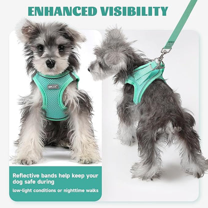 Bolux Dog Harness Small Sized and Leash Set, Step in Soft Light Puppy Vest, Breathable Mesh Pet Harness, Reflective for Safe Easy Walking.