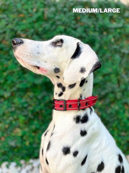 Tuff Pupper Heavy Duty Dog Collar with Handle | Ballistic Nylon Heavy Duty Collar | Padded Reflective Dog Collar with Adjustable Stainless Steel Hardware | Convenient Sizing for All Breeds