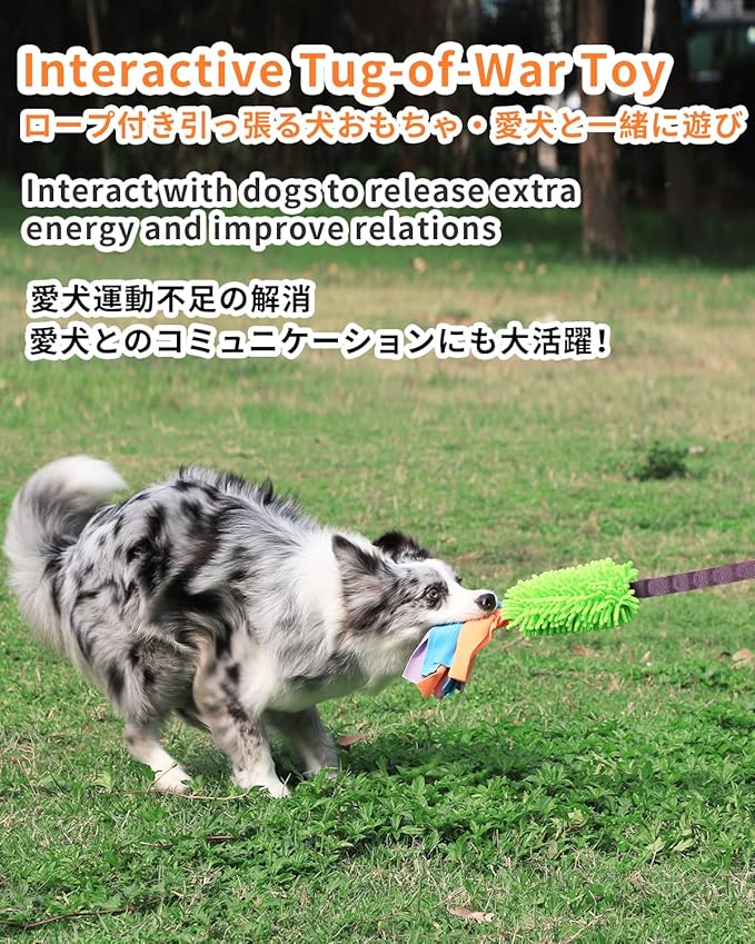 SCHITEC Dog Tug Toy, Bungee Tug of War Rope Toys with Squeaky Sound for Small Medium Large Dogs, Puppy Training Pull Toy for Exercise & Interactive Play Games