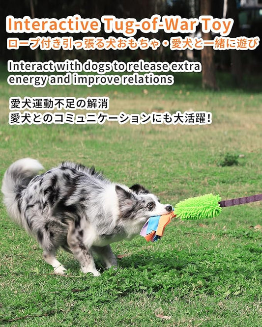 SCHITEC Dog Tug Toy, Bungee Tug of War Rope Toys with Squeaky Sound for Small Medium Large Dogs, Puppy Training Pull Toy for Exercise & Interactive Play Games