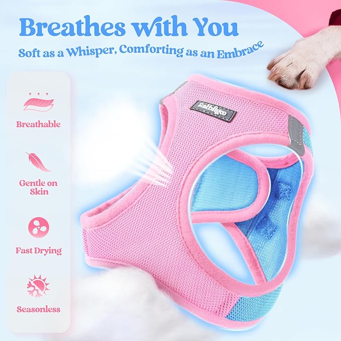 rabbitgoo Dog Harness Small Sized and Leash Set, Step in Soft Light Puppy Vest, Breathable Mesh Pet Harness, Reflective for Safe Easy Walking, Blue & Light Pink S