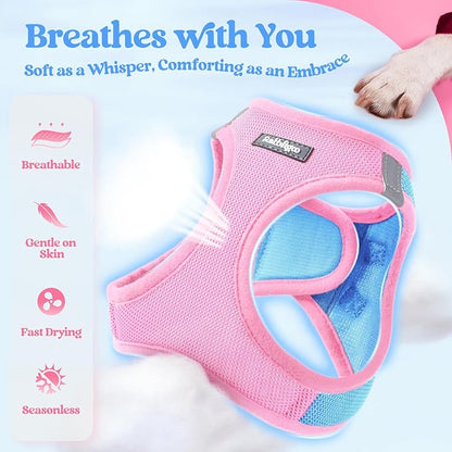 rabbitgoo Dog Harness Small Sized and Leash Set, Step in Soft Light Puppy Vest, Breathable Mesh Pet Harness, Reflective for Safe Easy Walking, Blue & Light Pink S