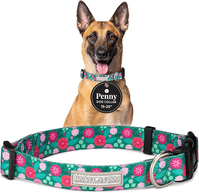 Lucky Love Dog - Adjustable Dog Collar with Easy Click Buckle for Large Dogs, Durable, & Comfortable for Male & Female Dogs, Pet Collar for Puppies & Adult Ones - Penny, Large
