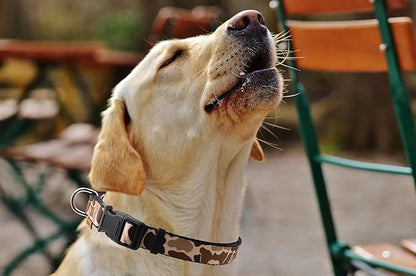 Dog Collar, Cute Camouflage Pattern, Soft and Adjustable Collar with Quick Release Buckle (L (Neck 16-28", Width 1"), Camouflage Brown)