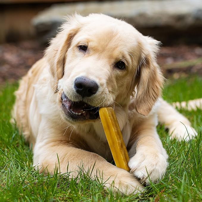 Healthy Yak Cheese Himalayan Chew, All-Natural & High in Protein, Odorless & Long Lasting Yak Chews for Large Dogs & Medium Dogs, Dog Chews for Aggressive Chewers (Large, 8-Pack)