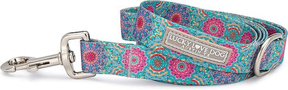 Lucky Love Dog Leash – Soft, Durable, and Comfortable Leash with Vibrant Patterns – Stylish and Long Lasting for Large Male and Female Dogs – Clara, Large