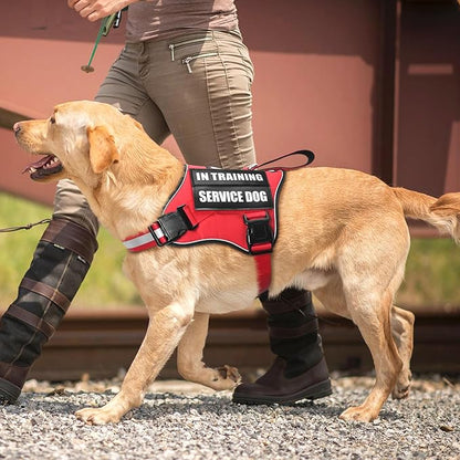 Service Dog Vest Harness and Leash Set+10 Patches,No Pull&Adjustable Reflective Dog Harness with Soft Padded Handle for Training/Everyday,Fit Small/Medium/Large/Extra-Large Dogs(Red XL)