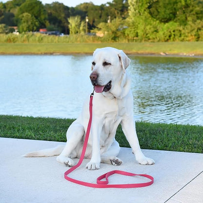 Dogline Biothane Waterproof Dog Leash Strong Coated Nylon Webbing with Black Hardware Odor-Proof Easy to Clean High Performance for Small or Large Dogs Made in USA 4 or 6 ft Lead, Passionfruit Pink