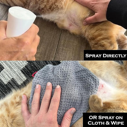 Feline Ring Care | Control & Help with Cat Ringworm, Mange, Dermatitis, Itchy Skin, Dog Paw Yeast. Also works on Dogs, Hamsters, Guinea Pigs, Rabbits, etc. Spray for Cats and Itch Relief (Makes 32 oz)