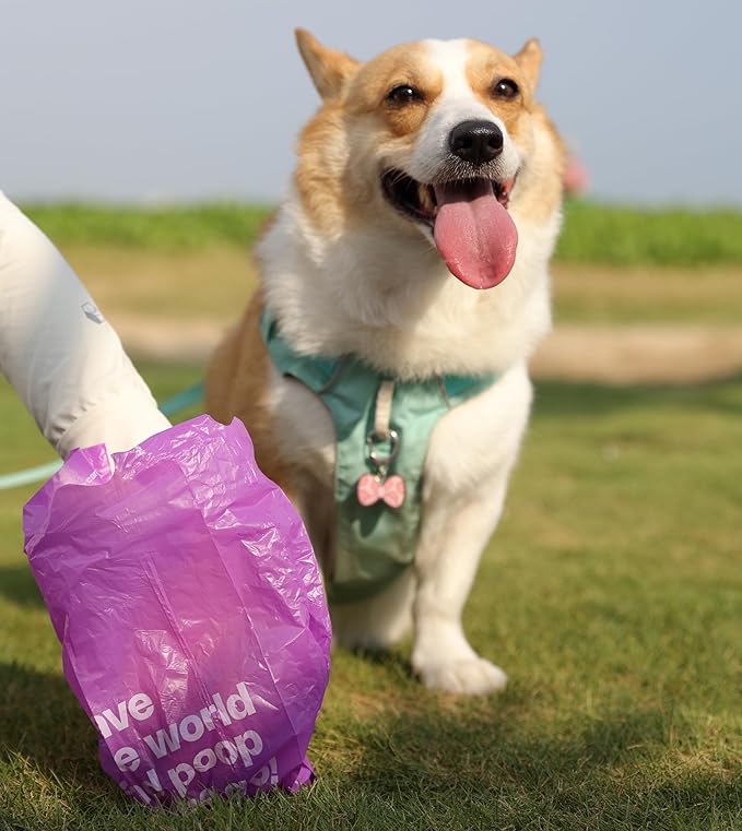 Dog Poop Bags with Handles 30 Rolls 360 Counts Big Sizes Leak Proof and Extra Thick Waste Bags Refill Rolls for Walking Small Medium Large Dogs Cats Litter Lavender Scented