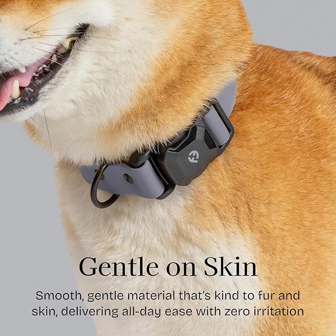 2026 New Edition, Fei & Eve PVC MagEase Dog Collar - Patented Magnetic Buckles | Fur-Safe | 450LB Escape-Proof | Adjustable Fit | Small (Twilight Gray)