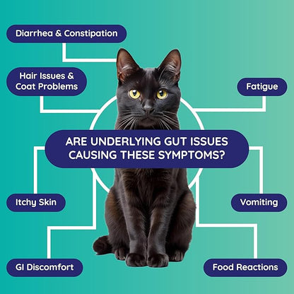 Innovative Pet Lab Comprehensive Gut Health Test Kit for Cats - at-Home Cat Stool Test for Immune & Gluten Sensitivity Symptoms Like Diarrhea, Vomiting, Itchy Skin - Easy Non-Invasive Testing Kit