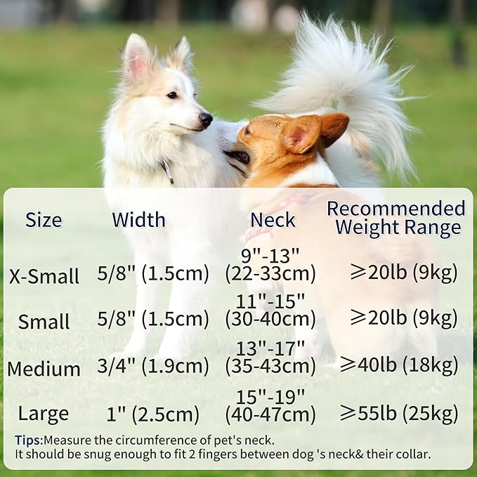 Mile High Life Reflective Dog Collar | Nylon Pet Collars wiith Buckle | Light Weight Puppy Collars | Lime Green Dog Collars for Medium Dogs (Lime Green, M)