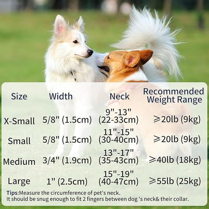 Mile High Life Dog Collar | Nylon Reflective Dog Collars | Light Weight Puppy Collars | Blue Dog Collars for Small Dogs (Blue, X-Small)