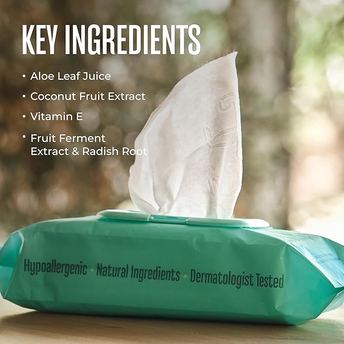 WagWell Daily Cleansing Dog Wipes 50 Count – Vet-Approved, All Natural, Dermatologist Tested, Microbiome-Friendly – Head-to-Tail (Avoid Eye Area), Helps Reduce Odor – No Added Fragrance