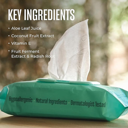 WagWell Daily Cleansing Dog Wipes 50 Count – Vet-Approved, All Natural, Dermatologist Tested, Microbiome-Friendly – Head-to-Tail (Avoid Eye Area), Helps Reduce Odor – No Added Fragrance