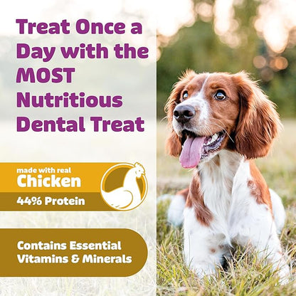 Yummy Combs Dog Dental Treats – Vet VOHC Approved – Delicious Chicken Protein – Removes Tartar with Cleaning Comb Shape – Dental Dog Treats for Medium Dogs (24oz, 30 Count)