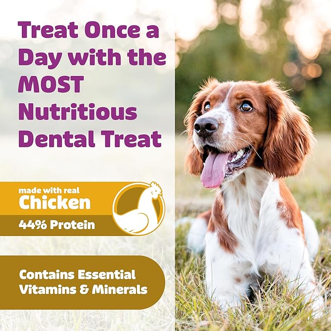 Yummy Combs Dog Dental Treats – Vet VOHC Approved, Removes Tartar & Cleans Teeth – Yummy High Protein Chicken Treat for Small Dogs (Mini Pack, 13 Count)
