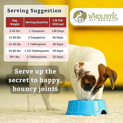 Wholistic Pet Organics - Hip and Joint Supplement for Dogs & Cats - Cat & Dog Joint Supplement - Green Lipped Mussels, Glucosamine, Chondroitin for Dogs & Cat Mobility Support - 1 Lb - 45 Scoops