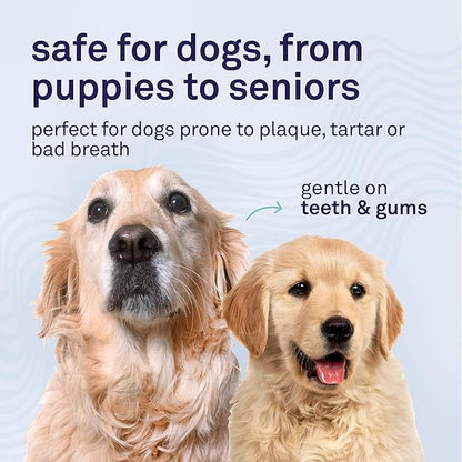 Petpost | Dental Solution for Dogs - Water Additive That Eliminates Bad Breath - Dirt, Gunk, and Tooth Buildup Gone - Natural Tooth Cleaning Solution 16 oz.