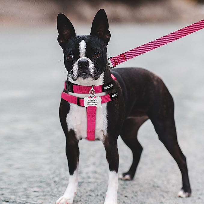 No Pull Dog Harness - Adjustable Step-in Harness & Leash Set for Small, Medium, Large Dogs - Escape Proof Soft Pet Harness for Walking, Training, Hiking, Outdoor Activities