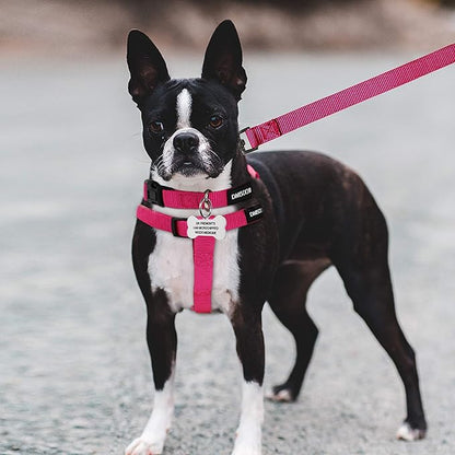 No Pull Dog Harness - Adjustable Step-in Harness & Leash Set for Small, Medium, Large Dogs - Escape Proof Soft Pet Harness for Walking, Training, Hiking, Outdoor Activities
