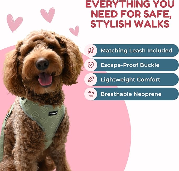 No-Pull, No-Choke Dog Harness & Leash Set – Stylish & Fun – Lightweight, Breathable Neoprene – Unique Heart Pattern – Adjustable for Extra Small Dogs (Harness Leash Set-Green, XX-Small)