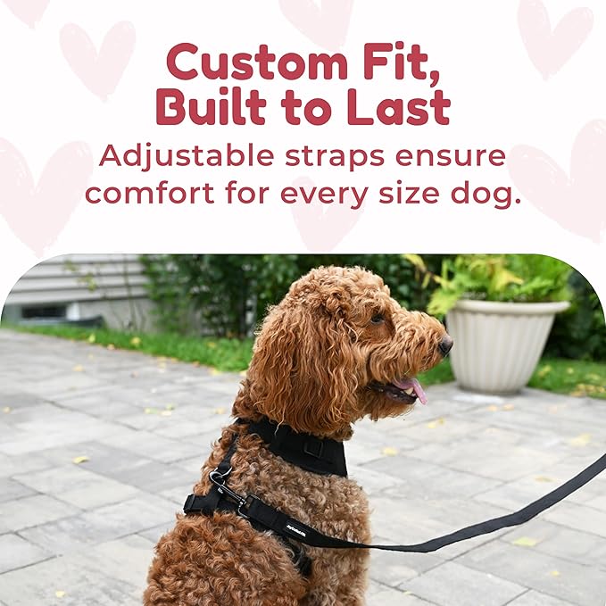 No-Pull, No-Choke Dog Harness & Leash Set – Stylish & Fun – Lightweight, Breathable Neoprene – Unique Heart Pattern – Adjustable for Extra Small to Medium Dogs (Harness Leash Set-Black, X-Small)