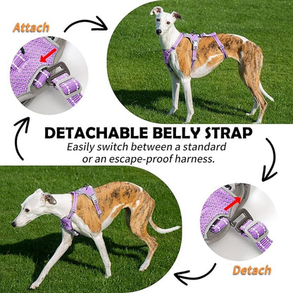 Huntboo Escape Proof Dog Harness – No Pull, No Slip, Fully Reflective, Adjustable 7-Point Design for Small, Medium, and Large Dogs – Lightweight for Outdoor Training & Hiking (Lavender Purple, XL)